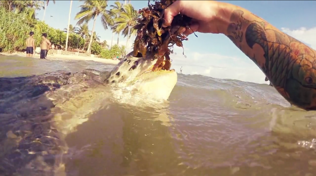 Screen Shot 2015-10-11 at 17.19.36