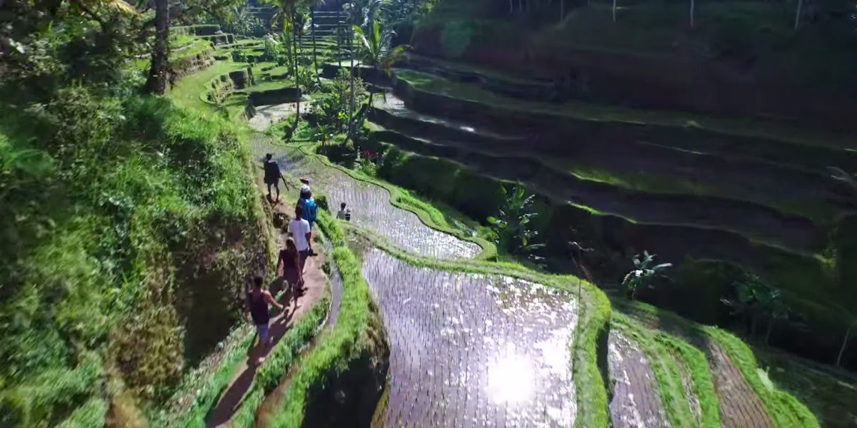 Screen Shot 2015-10-23 at 15.30.26