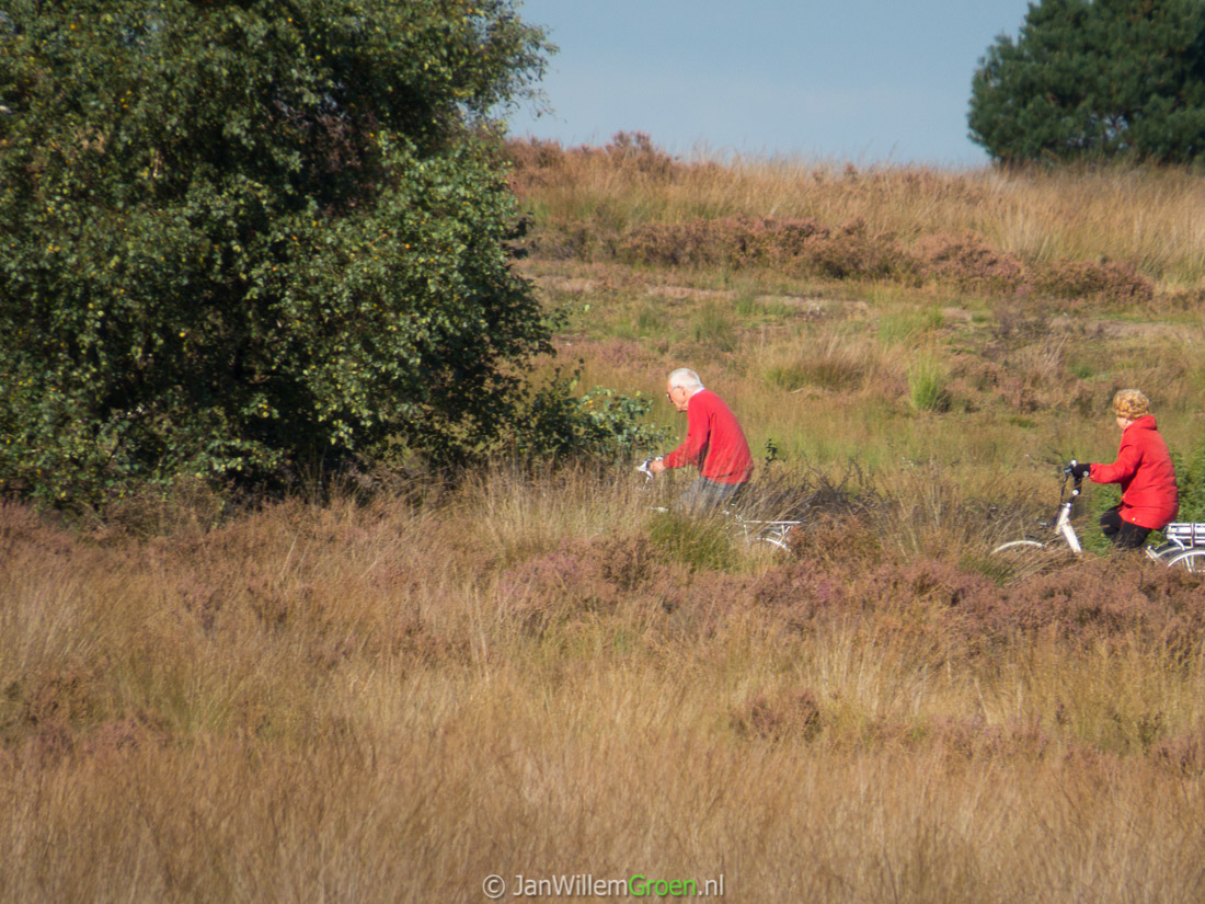 20150924 Veluwe wiel-0862