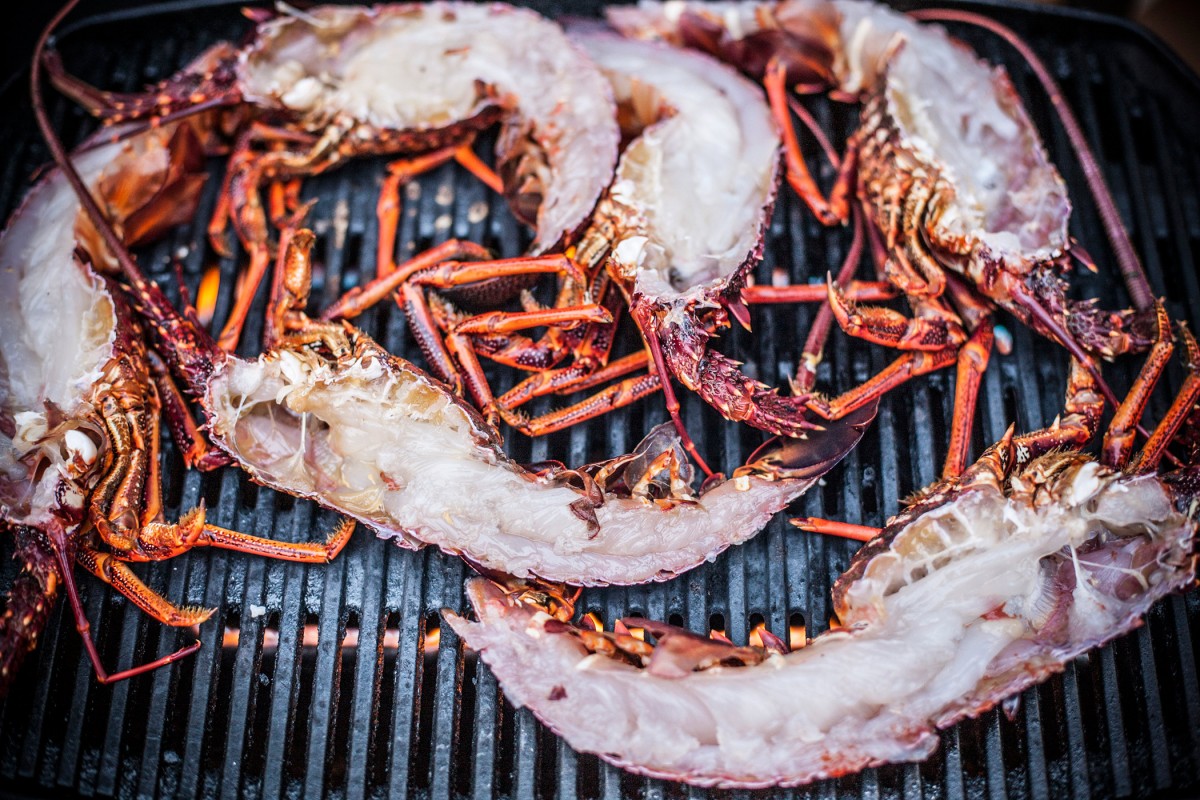 Prive-eiland-in-tasmanie-16