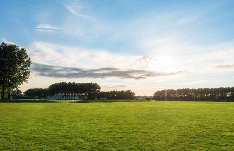 Screen Shot 2016-07-08 at 14.25.24