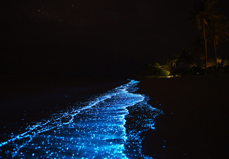 maldiven locatie trouwen huwelijksaanzoek huwelijk aanzoek trouwdag MAN MAN