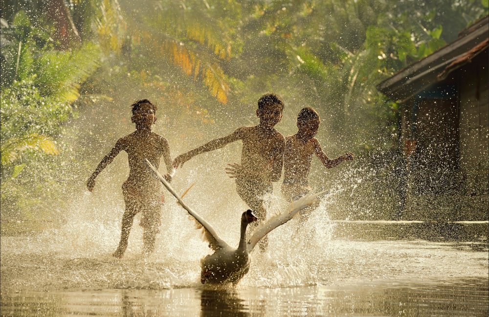 man man mooi simpe het leven foto's stilstaan
