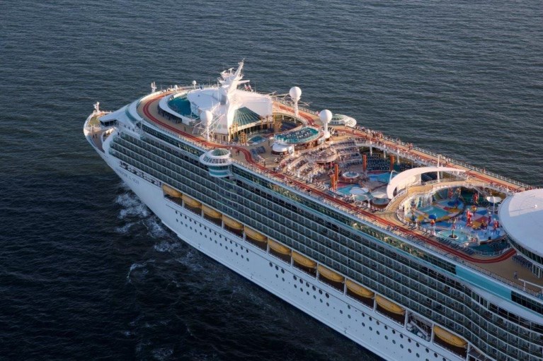 The ark tommorrowland man man