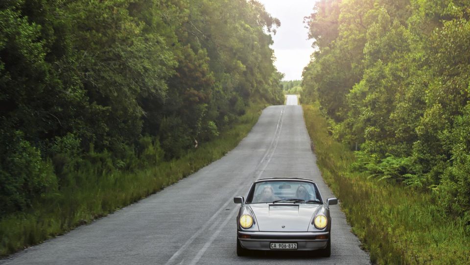 Porsche 911 targa man man 13