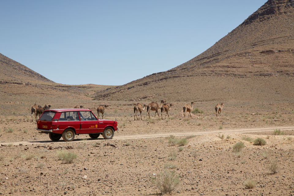 range rover velar 1969 man man 5
