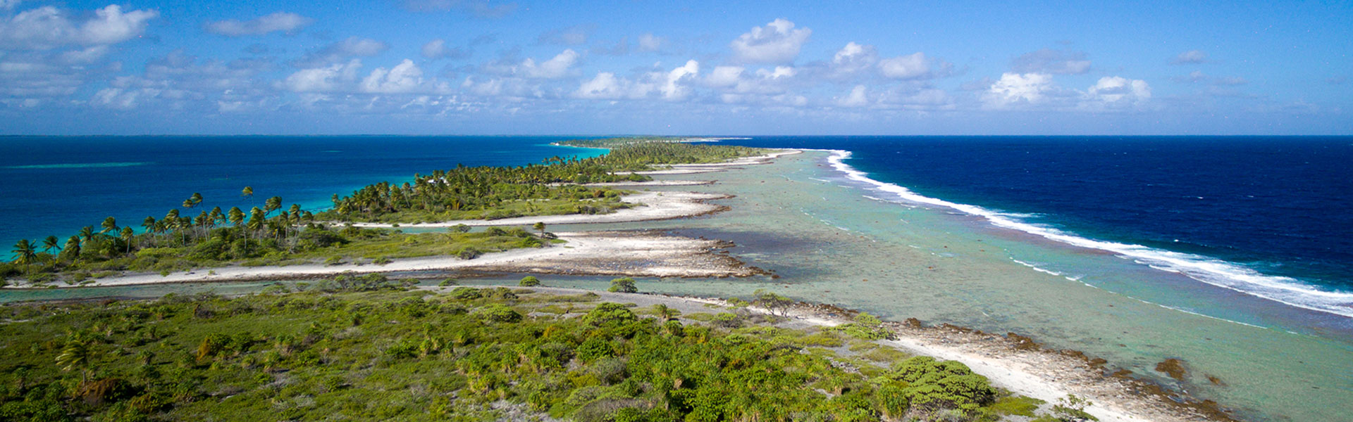 Private Island Man Man 