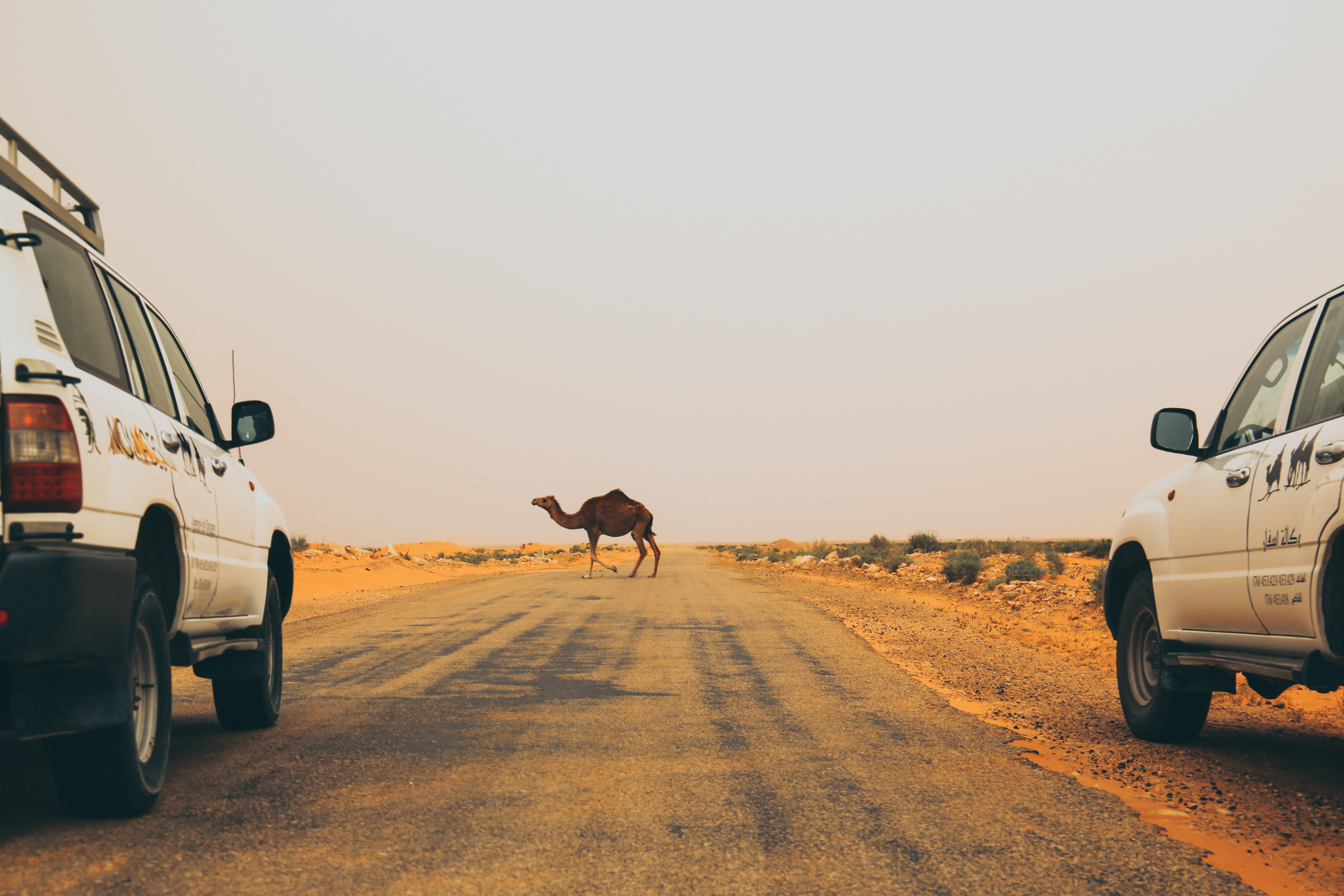 Zuid Tunesie MAN MAN-20