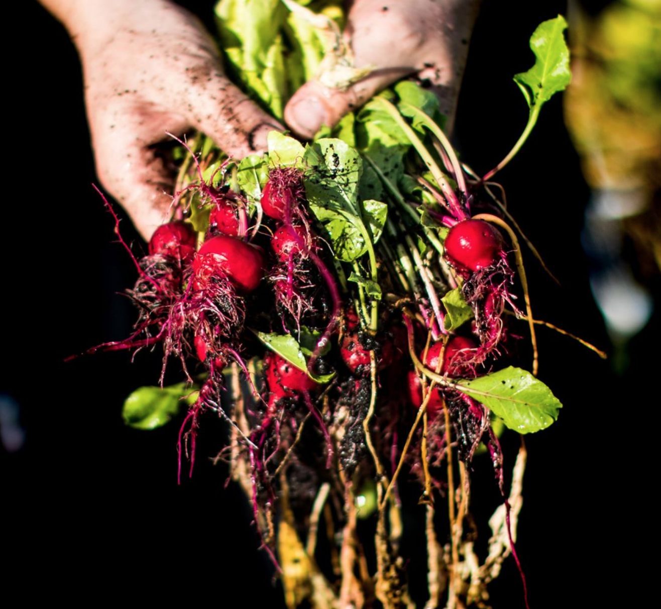 Screen Shot 2018-04-02 at 17.39.07