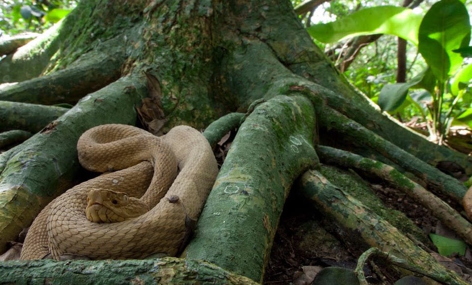 Illegale plekken ter wereld MAN MAN