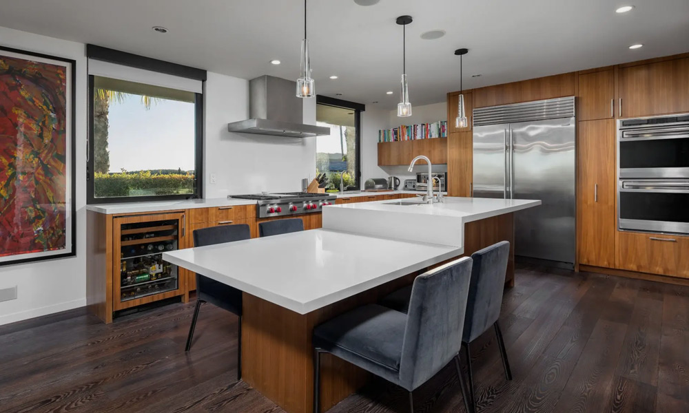 Elon Musk villa MAN MAN 