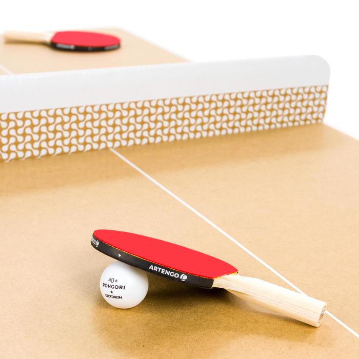 pingpongtafel binnen