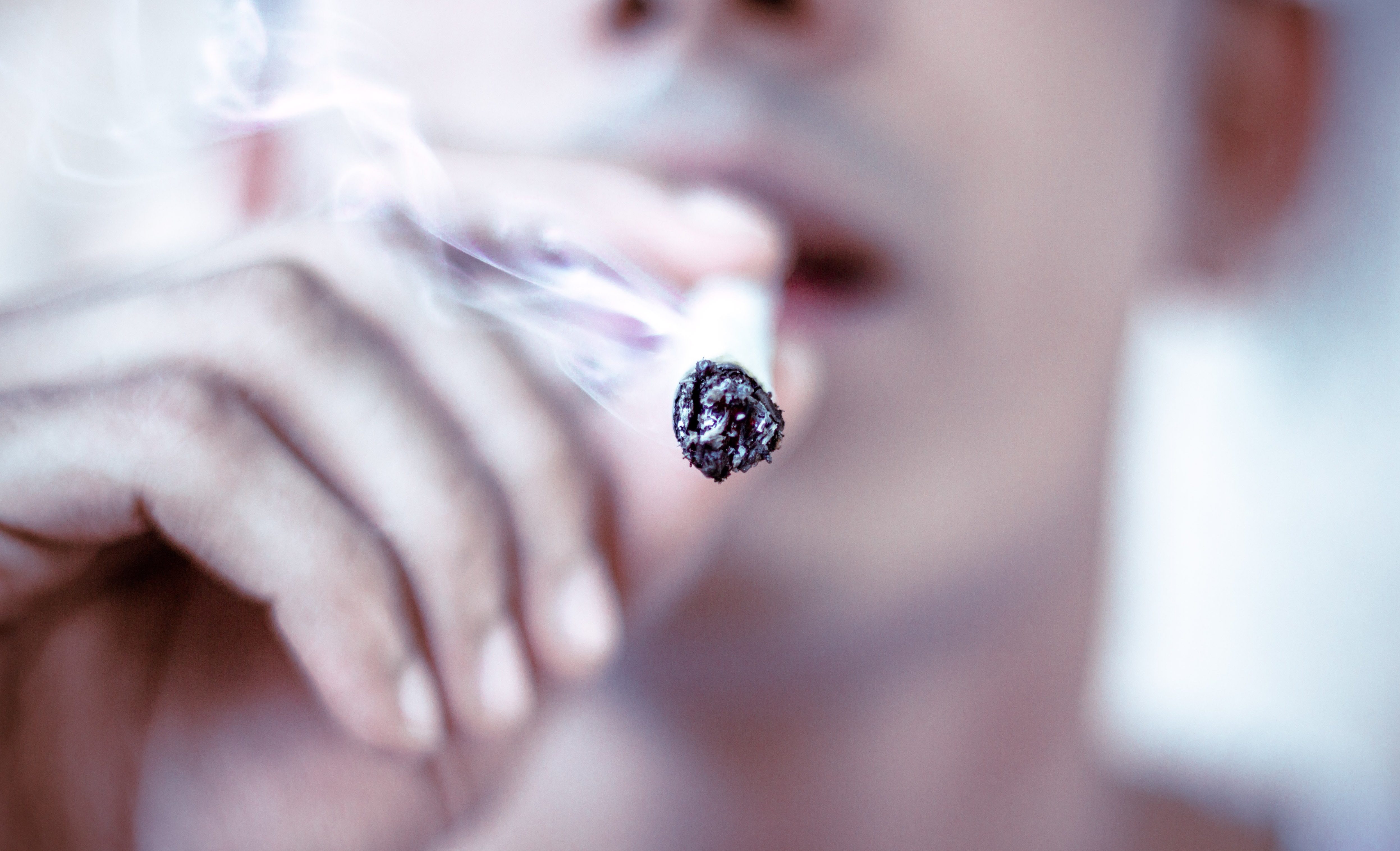 favoriete hasj soorten