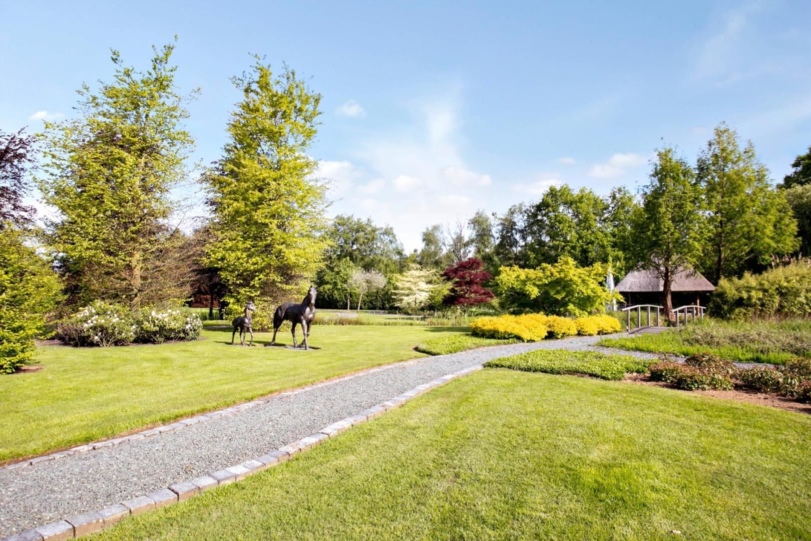 woning met groot perceel te koop