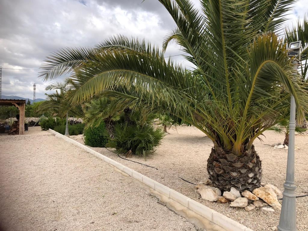 vakantiehuis Spanje Funda