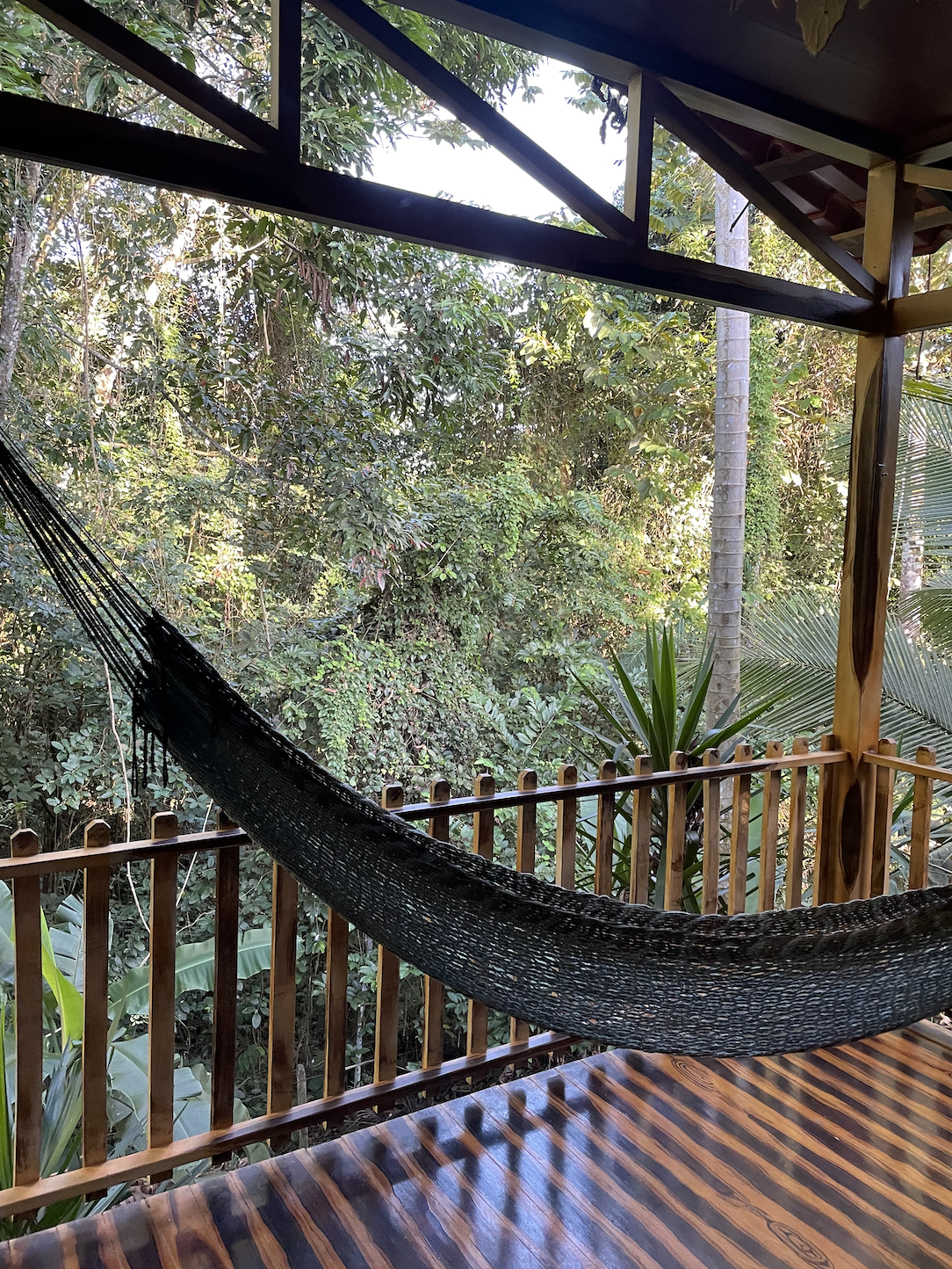 hangmat vakantie plek