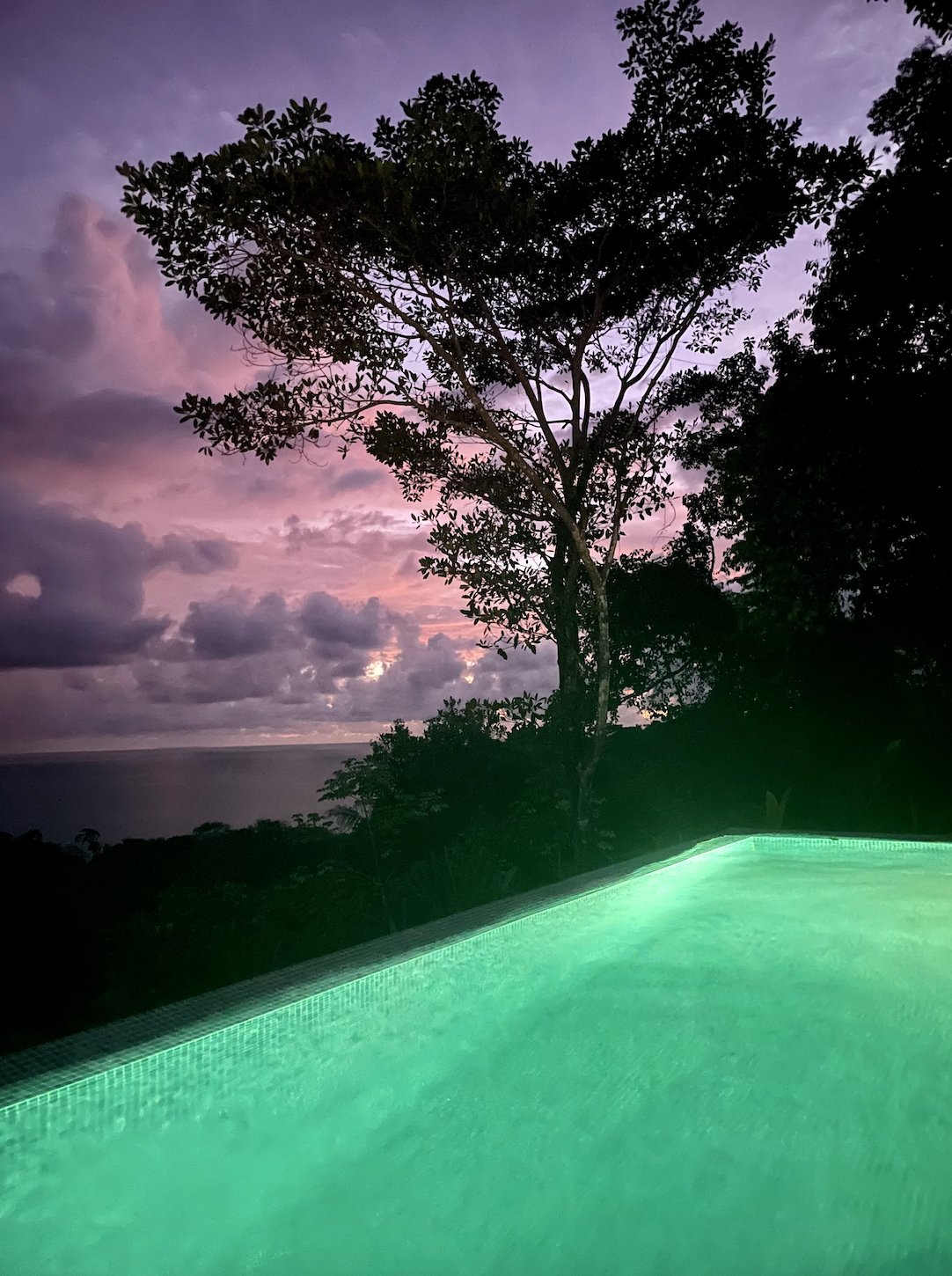 costa rica reis foto's