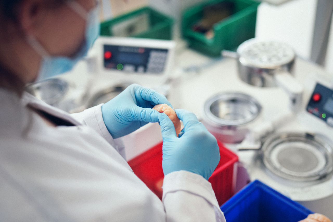 PlusDental_Dentallabor_6