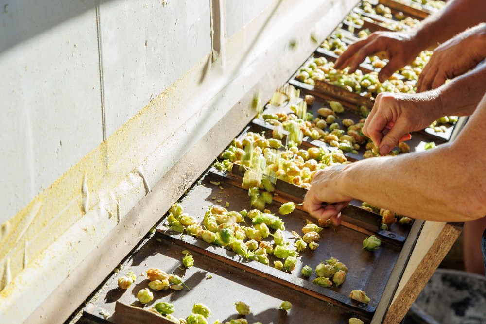 Affligem Tripel Trip(1)